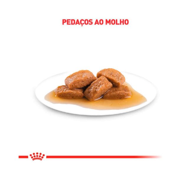 Ração Royal Canin Sachê Feline Veterinary Renal Frango Para Gatos com Doença nos Rins - 85g