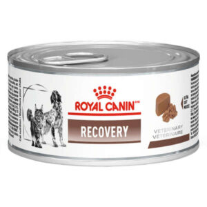 Ração Úmida Royal Canin Veterinary Recovery Para Cães e Gatos em Recuperação - 195g