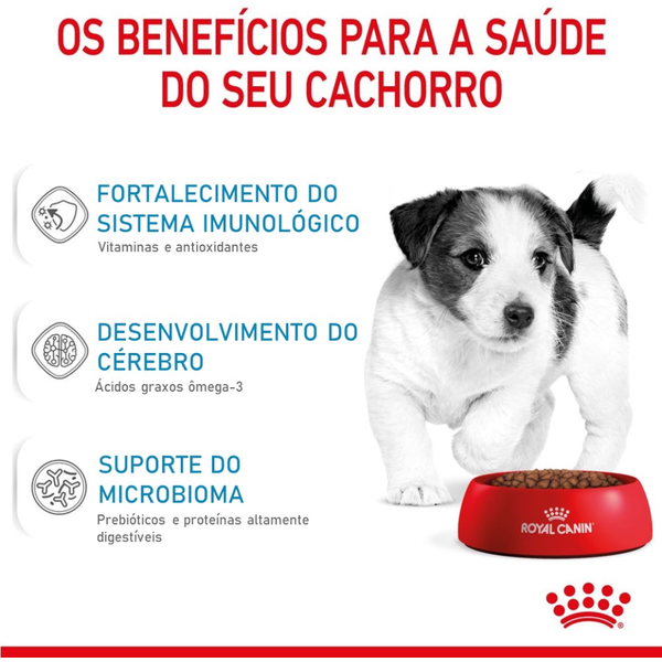 Ração Royal Canin Mini Junior Para Cães Filhotes de Raças Pequenas de 2 a 10 Meses de Idade