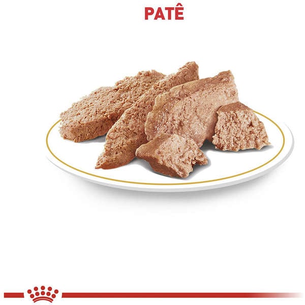 Ração Úmida Royal Canin Lata Canine Veterinary Diet Renal Para Cães com Doenças Renais