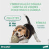Vermífugo Elanco Drontal Plus Sabor Carne - Cães 35Kg