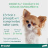 Vermífugo Elanco Drontal Plus Sabor Carne - Cães 35Kg