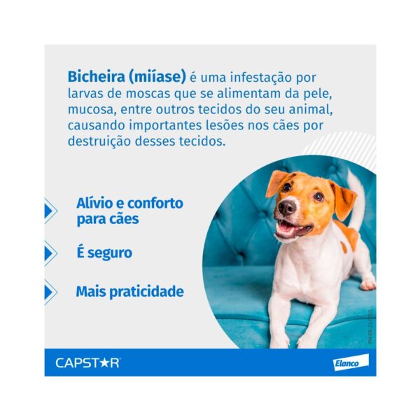 Antipulgas Elanco Capstar 11,4mg Para Cães e Gatos até 11,4Kg