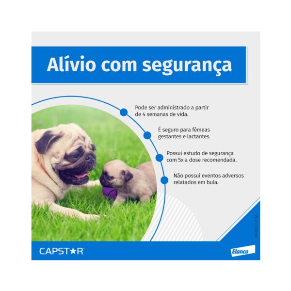 Antipulgas Elanco Capstar 11,4mg Para Cães e Gatos até 11,4Kg