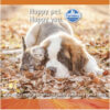 Ração Farmina N&D Pumpkin Para Cães Adultos de Raças Pequenas Sabor Frango, Abóbora e Romã