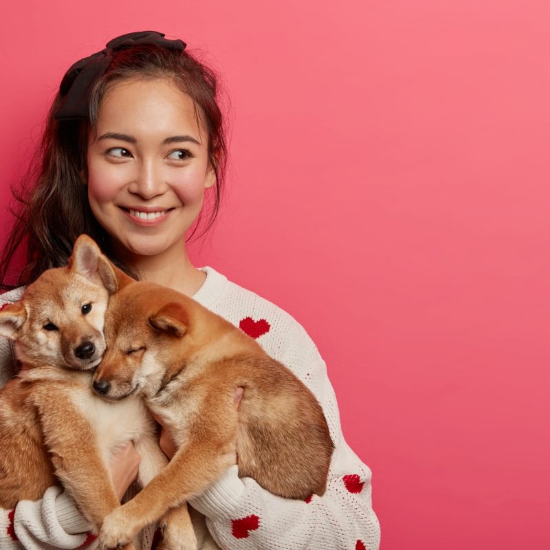 beautiful-brunette-woman-plays-with-two-shiba-inu-dogs-looks-away-thinks-how-to-feed-pets-and-teach-commands-expresses-caress-isolated-on-pink-background